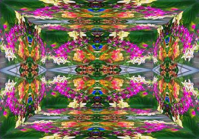 g13/79/738779/3/173148621.d52fe818.JPEG
