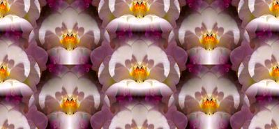 g13/79/738779/3/173262217.5fbe3bcf.JPEG