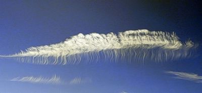 Cloud Centipede