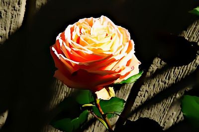 g13/79/738779/3/173547073.cb44381c.JPEG