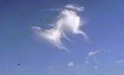 g13/79/738779/3/173648975.86920af6.JPEG