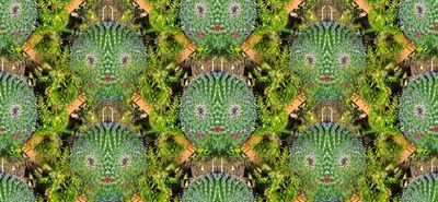g13/79/738779/3/173667061.55fe759d.JPEG