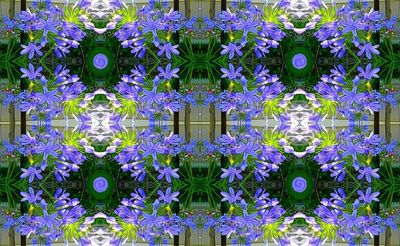 g13/79/738779/3/173714826.5518d944.JPEG