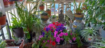 g13/79/738779/3/173727850.d5db2658.JPEG