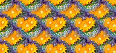 g13/79/738779/3/173737061.8e359a7f.JPEG