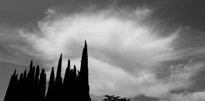 g13/79/738779/3/173755543.885c51ba.JPEG