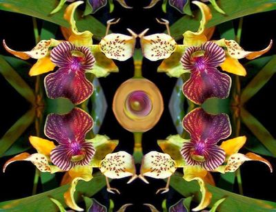 g13/79/738779/3/173768413.e49bacf0.JPEG