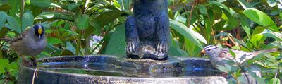 g13/79/738779/3/173849882.2caa986a.JPEG