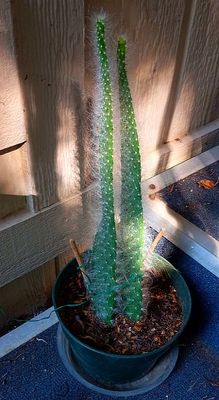 g13/79/738779/3/173937063.67a9d840.JPEG