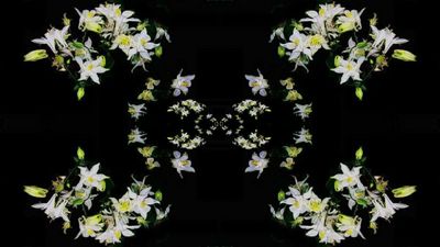 g13/79/738779/3/174082489.c7d4a85f.JPEG
