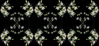 g13/79/738779/3/174082490.2edcf58d.JPEG