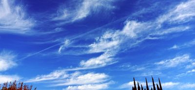 g13/79/738779/3/174130195.ddd68661.JPEG