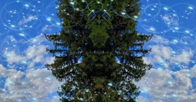 g13/79/738779/3/174139880.9f188d19.JPEG