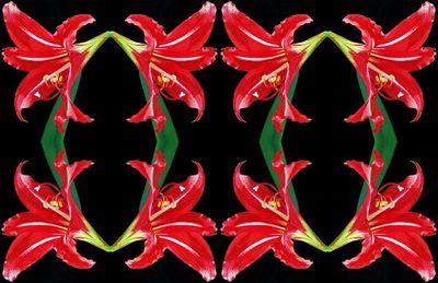 g13/79/738779/3/174172183.5d15c8b4.JPEG