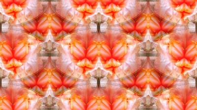 g13/79/738779/3/174321424.e1c8750f.JPEG