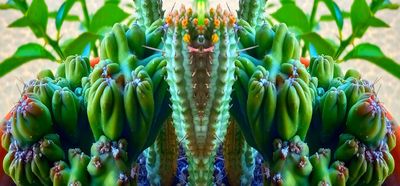 g13/79/738779/3/174343823.bc00305b.JPEG