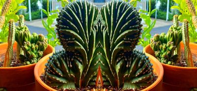 g13/79/738779/3/174343837.e6e7b152.JPEG