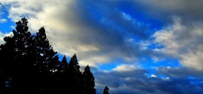 g13/79/738779/3/174359580.597c9b56.JPEG