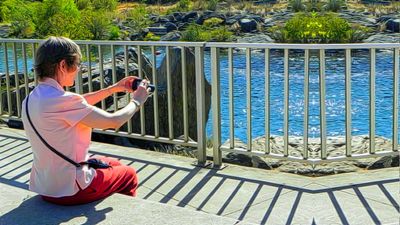 2012 Feather River Salmon Hatchery Oroville.jpg