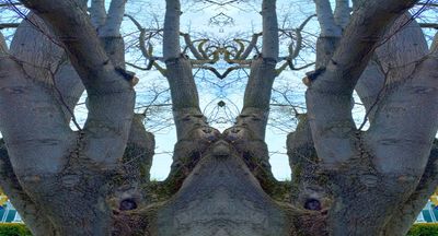 g13/79/738779/3/174400592.6c36c119.JPEG