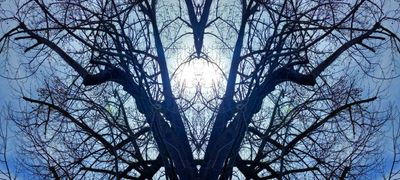 g13/79/738779/3/174400595.998ec871.JPEG