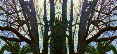 g13/79/738779/3/174400596.f139e021.JPEG