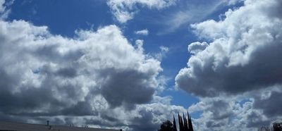 g13/79/738779/3/174403539.646b3068.JPEG
