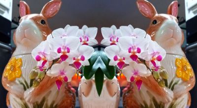 g13/79/738779/3/174448966.78ba3cd3.JPEG