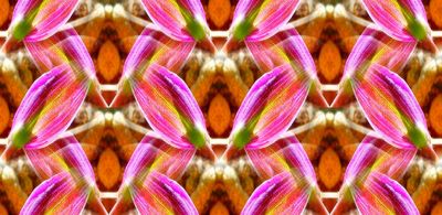 g13/79/738779/3/174452131.03623bc4.JPEG