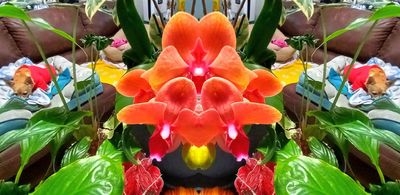g13/79/738779/3/174470714.090883cb.JPEG