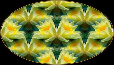 g13/79/738779/3/174470847.9c0bfb22.JPEG