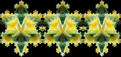 g13/79/738779/3/174470849.e3b6da09.JPEG