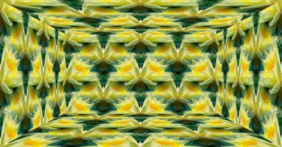 g13/79/738779/3/174470854.f58063e4.JPEG