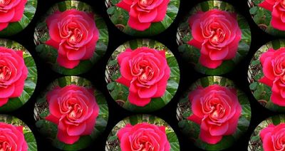 g13/79/738779/3/174471847.108d9047.JPEG