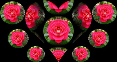g13/79/738779/3/174471848.c0e1b54e.JPEG
