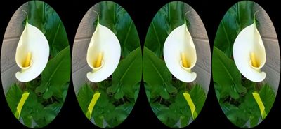g13/79/738779/3/174471864.4cc33cd8.JPEG