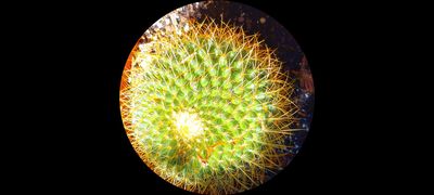 g13/79/738779/3/174472840.58a617df.JPEG