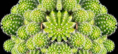 g13/79/738779/3/174472841.d2f3edca.JPEG