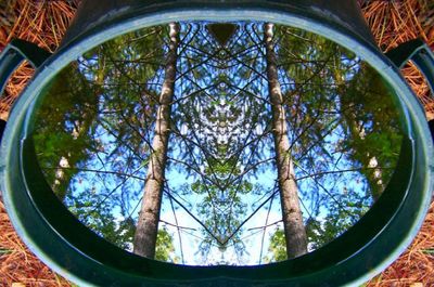 Reflections