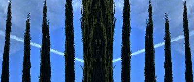 g13/79/738779/3/174483373.add1b2f1.JPEG