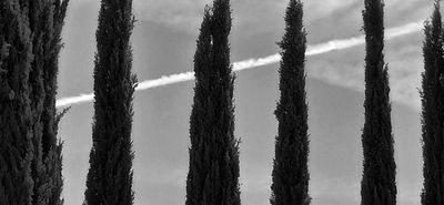g13/79/738779/3/174483374.4a1fa939.JPEG