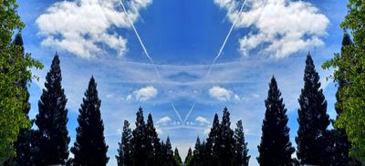 g13/79/738779/3/174483376.83254185.JPEG