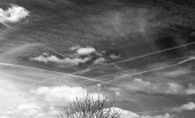 g13/79/738779/3/174483380.79117181.JPEG