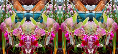 g13/79/738779/3/174483779.7cd257ab.JPEG