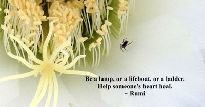 Be A Lamp, 11