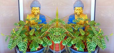 Bodhisattva 7