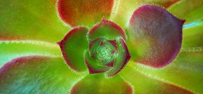 g13/79/738779/3/174491872.6aa3c470.JPEG