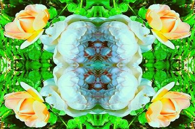 g13/79/738779/3/174494214.b12747cd.JPEG