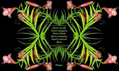 g13/79/738779/3/174494219.292bdbe1.JPEG
