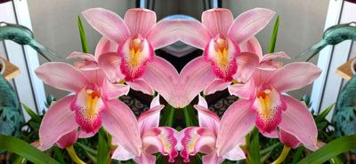 g13/79/738779/3/174498263.14a0c933.JPEG